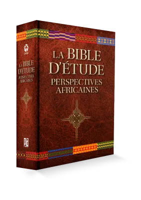 Bible d'étude perspectives africaines (couv. rigide)