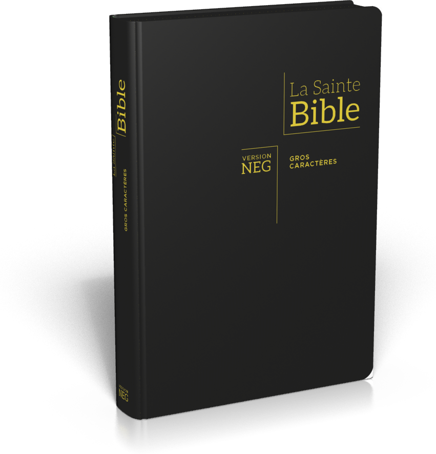 Bible NEG11890, GC, couv. fibrocuir, fermeture zip, tranche or, onglets