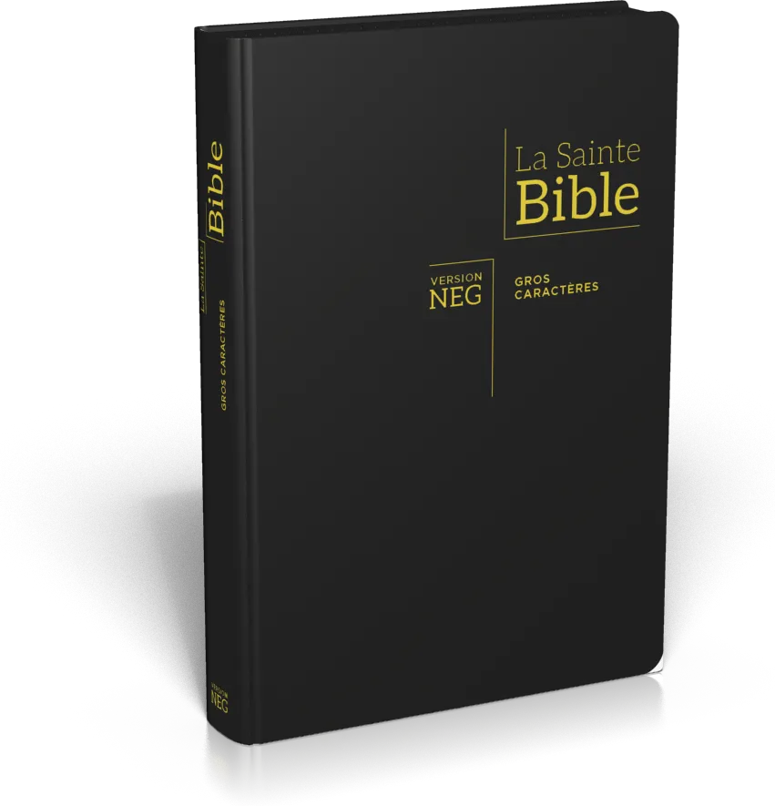Bible NEG11890, GC, couv. fibrocuir, fermeture zip, tranche or, onglets