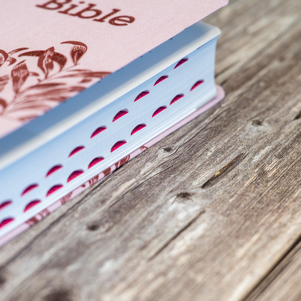 Bible Segond 21 compacte (Premium Style) SG12286