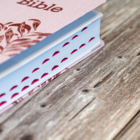 Bible Segond 21 compacte (Premium Style) SG12286