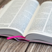 Bible Segond 21 compacte (Premium Style) SG12286