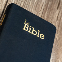 Bible Segond 21 compacte (Premium Style) SG12289