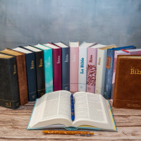 Bible Segond 21 compacte (Premium Style) SG12289
