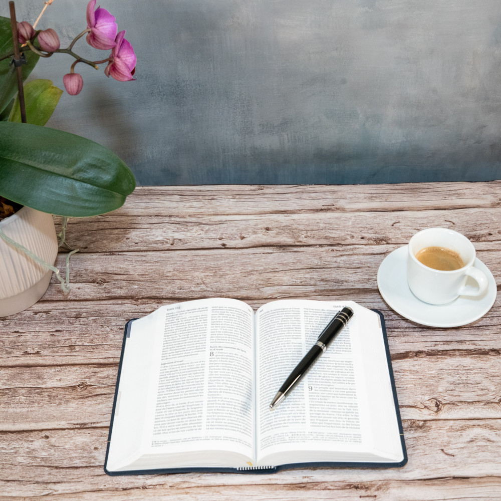 Bible Segond 21 compacte (Premium Style) SG12289