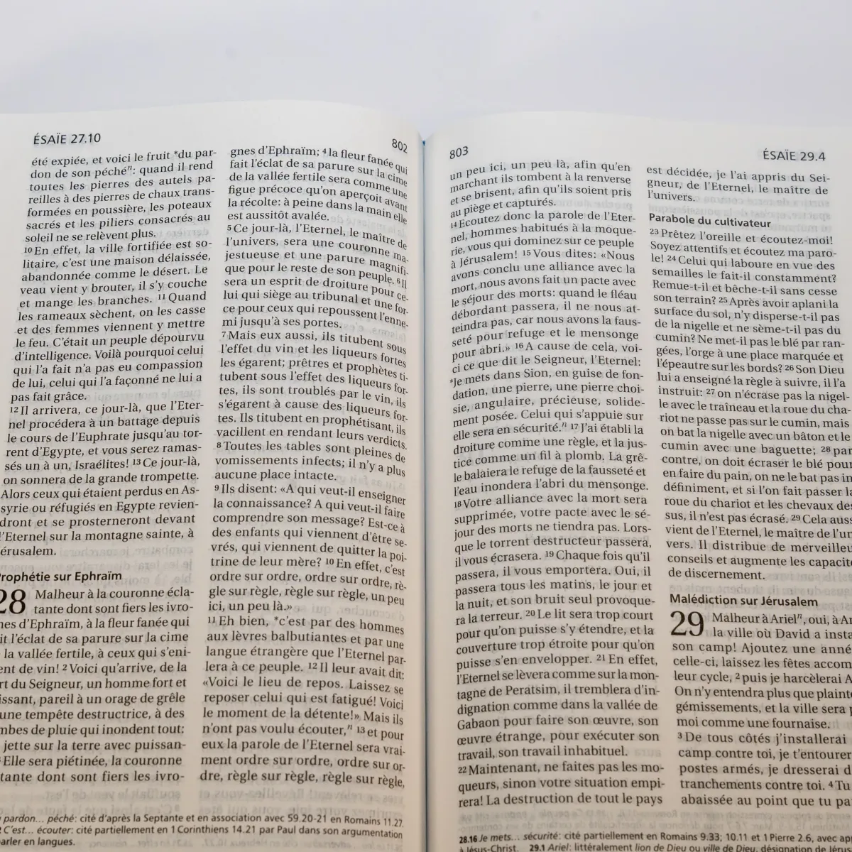 Bible S21 compacte, bleu rigide SG12225