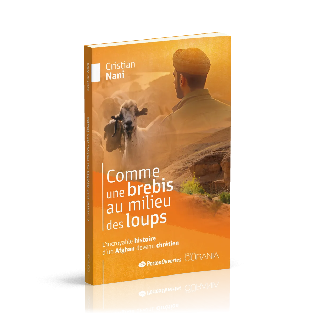 Comme une brebis au milieu des loups