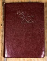Bible Segond 1910 à gros caractères, Modèle souple, marron - tranche or, onglets couverture PU