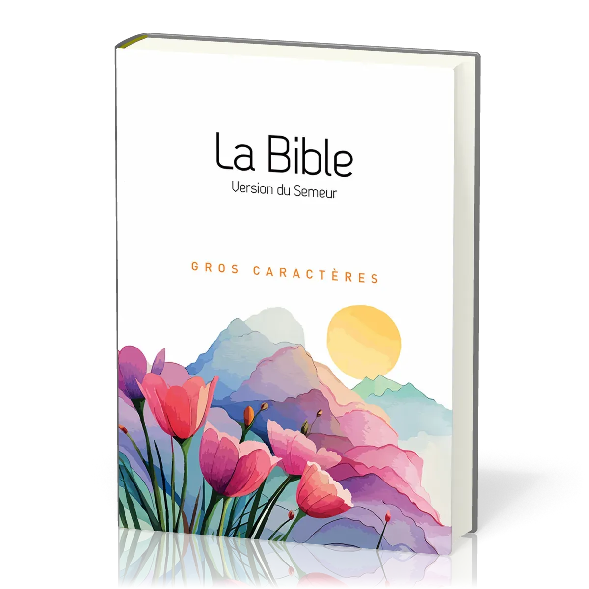 Bible Semeur avec gros caractères semi-souple textile
