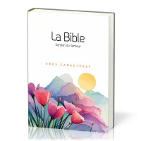 Bible Semeur avec gros caractères semi-souple textile