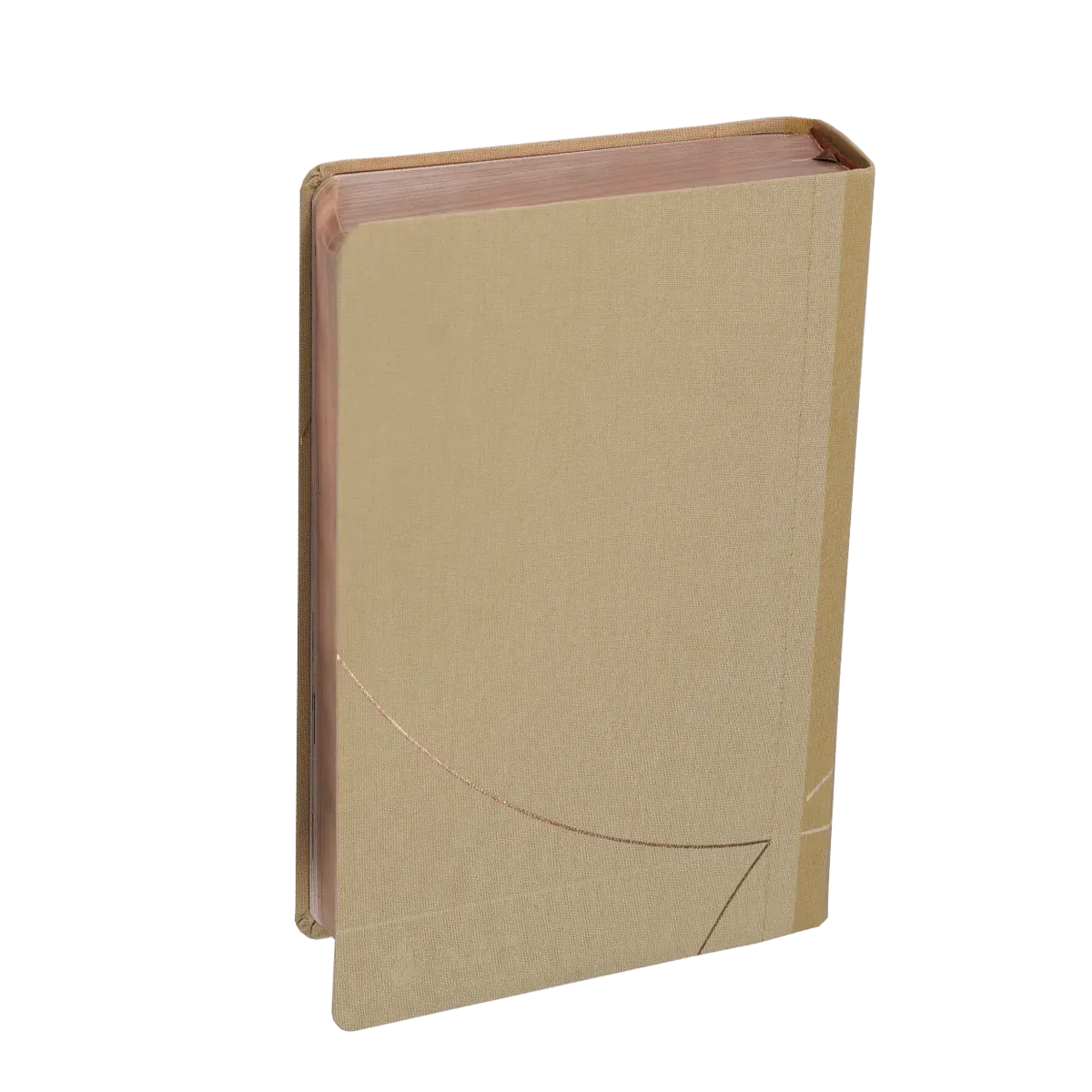 Bible d'étude Vie nouvelle, S21, souple, toile beige, tranches or rose