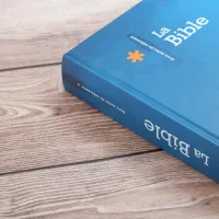 Bible Segond 21 avec notes de référence SG12447