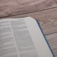 Bible Segond 21 avec notes de référence SG12447