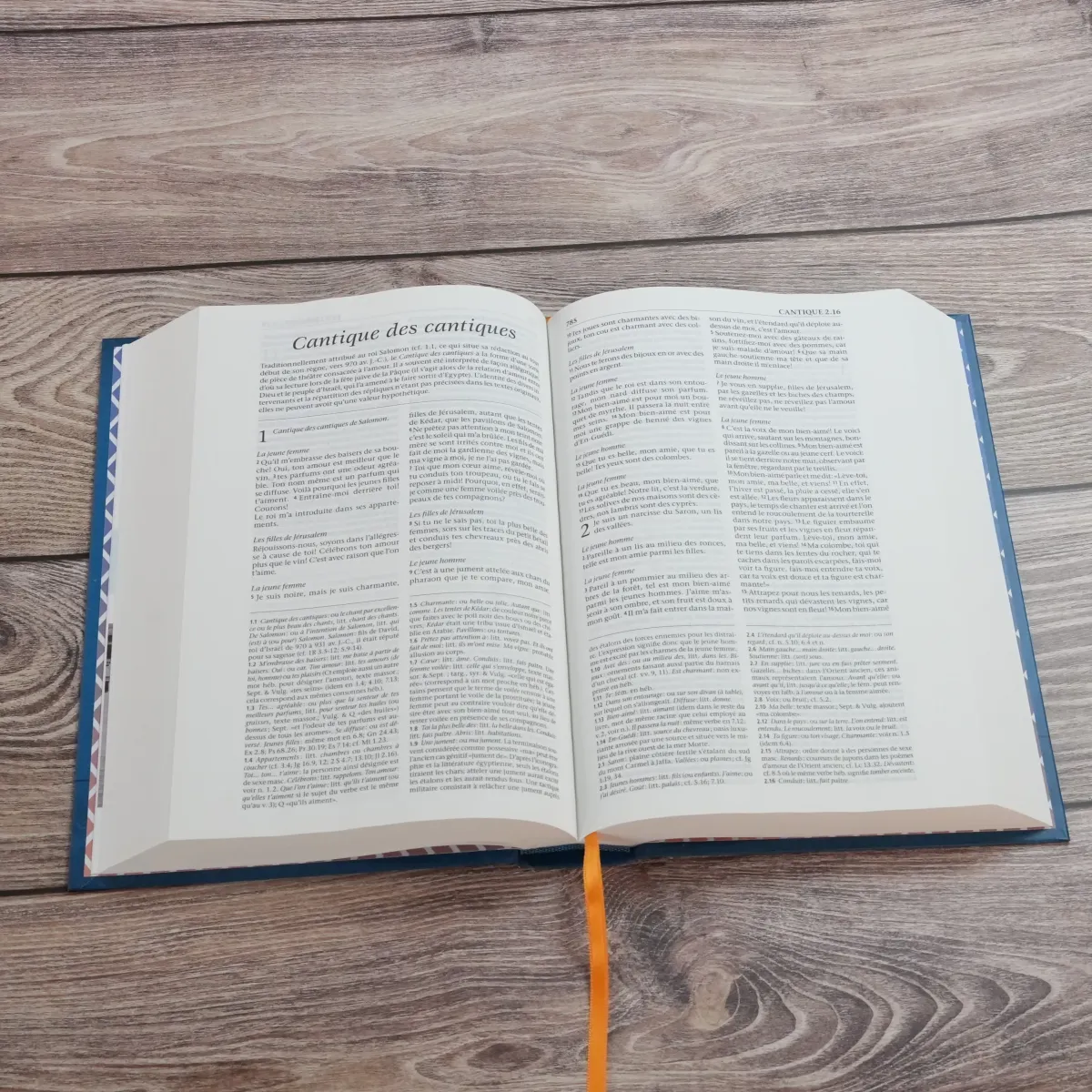 Bible Segond 21 avec notes de référence SG12447
