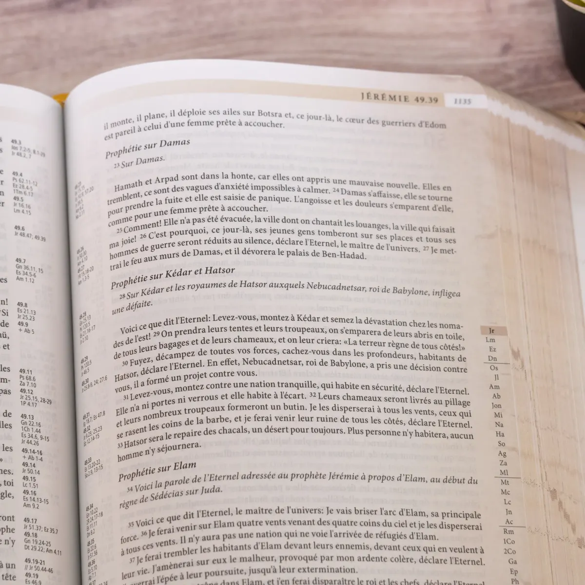Bible Segond 21 «archéo», avec notes d'étude archéologiques et historiques