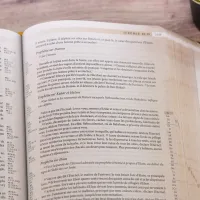 Bible Segond 21 «archéo», avec notes d'étude archéologiques et historiques
