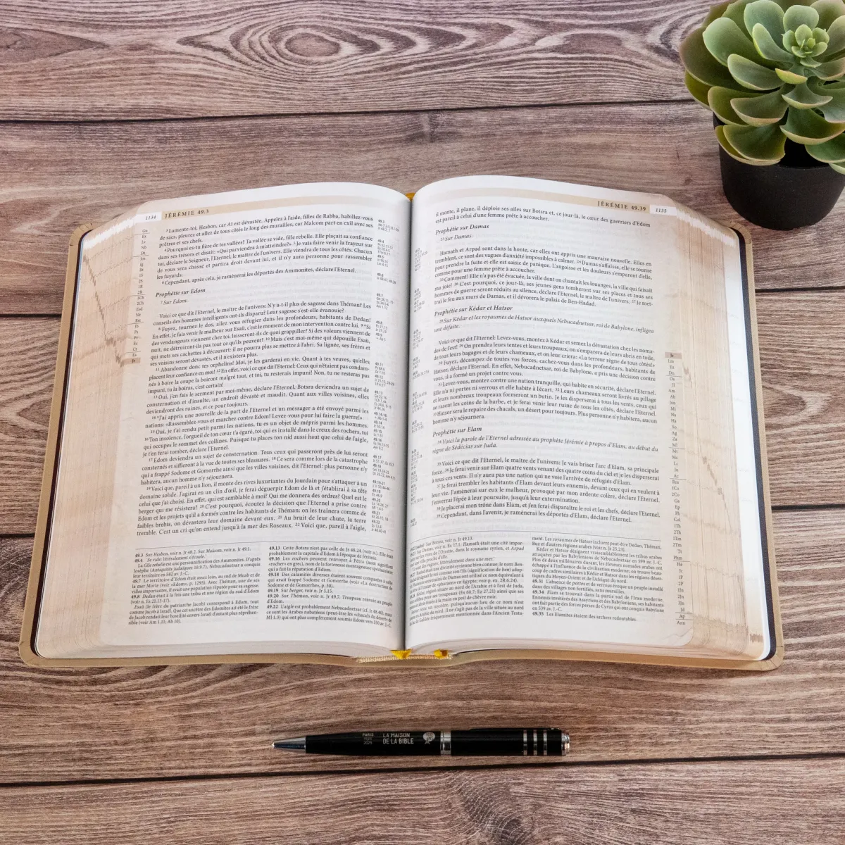 Bible Segond 21 «archéo», avec notes d'étude archéologiques et historiques