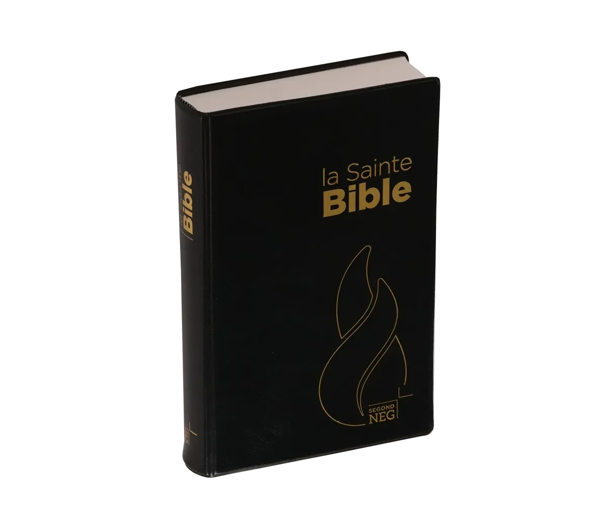 BIBLE NEG 11229 STD plastifié Louis Segond