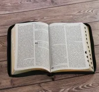 Bible NEG 11899, GC, couv. fibrocuir, tranche or, onglets
