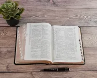 Bible d'étude Segond NEG Scofield, noire tr. or