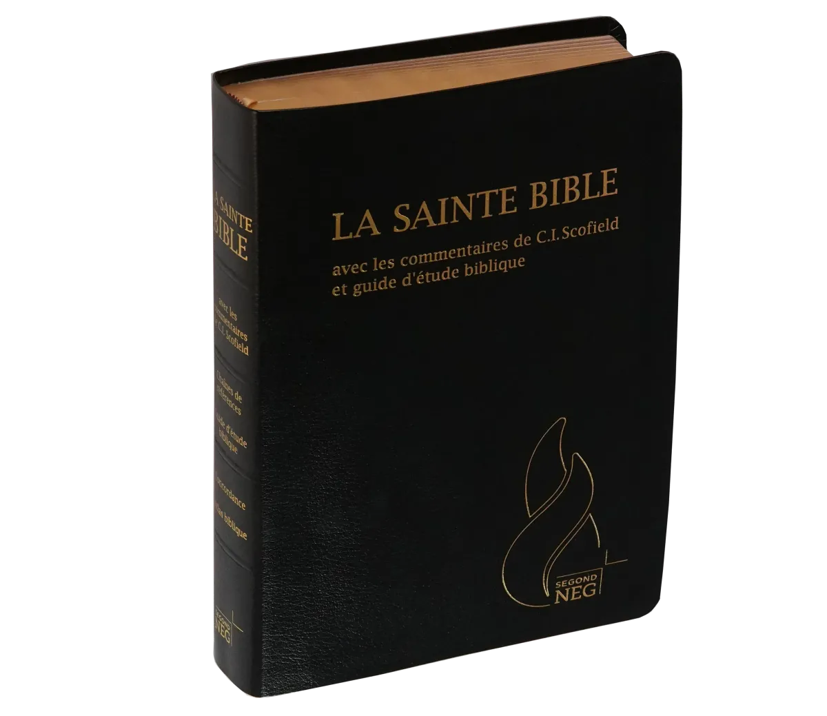 Bible d'étude Segond NEG Scofield, noire tr. or