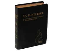 Bible d'étude Segond NEG Scofield, noire tr. or