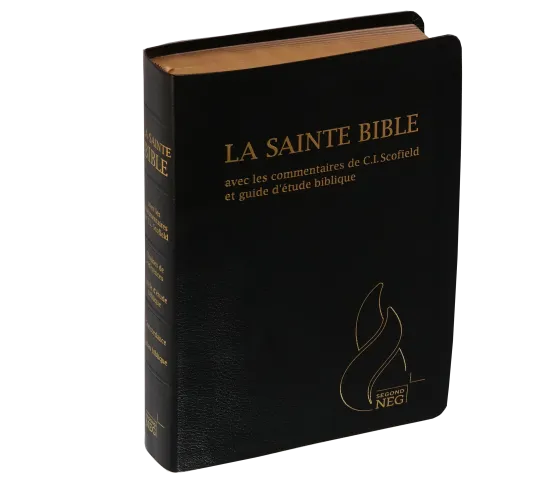 Bible d'étude Segond NEG Scofield, noire tr. or