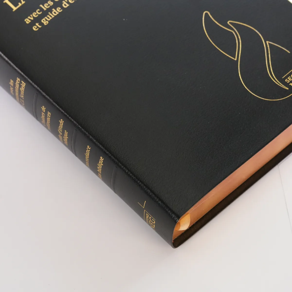 Bible d'étude Segond NEG Scofield, noire tr. or