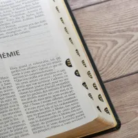 Bible d'étude Segond NEG Scofield, noire tr. or