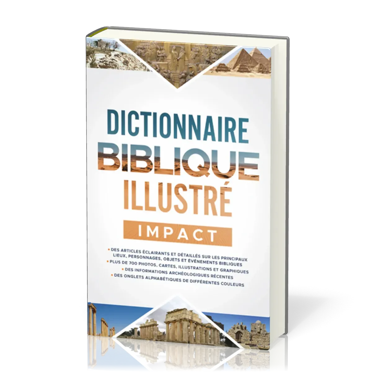 Dictionnaire biblique illustré, Impact
