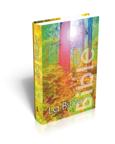 Bible Segond NEG, de poche, illustrée forêt