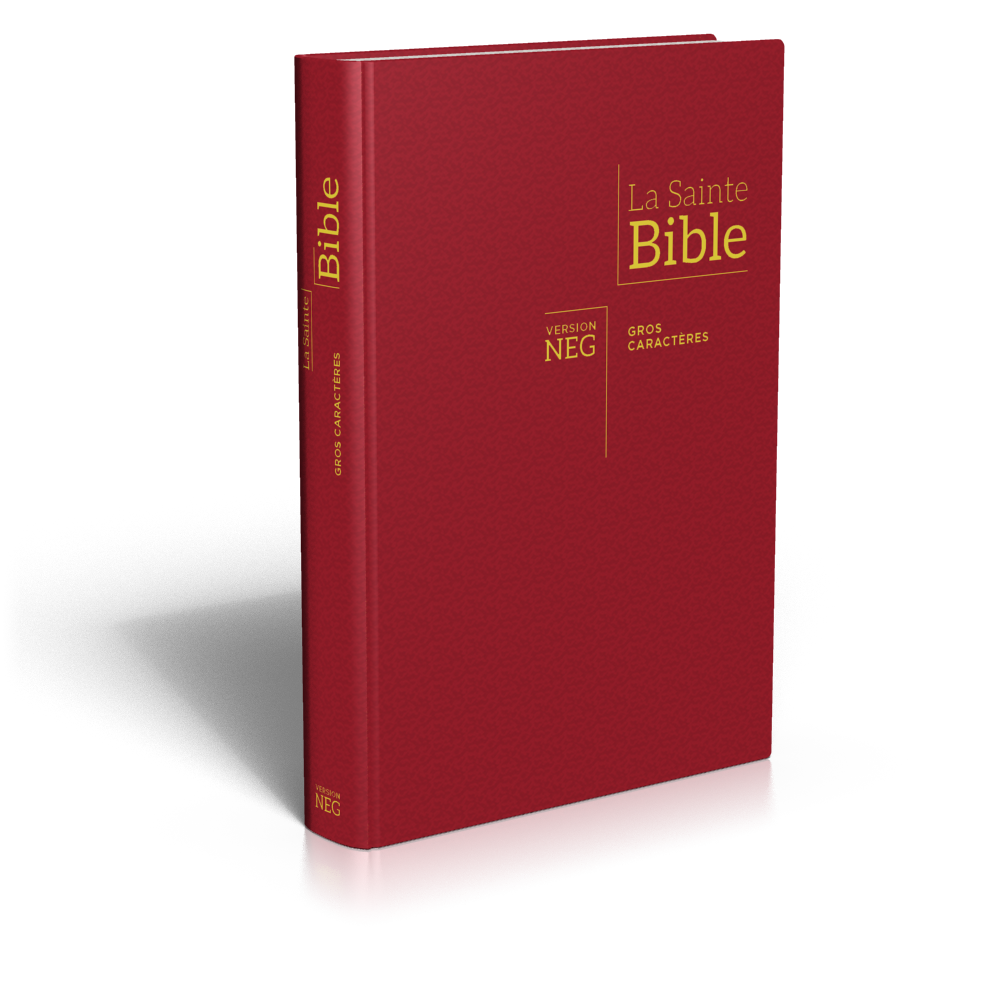 BIBLE NEG11836, GC, COUV. RIGIDE, BORDEAUX