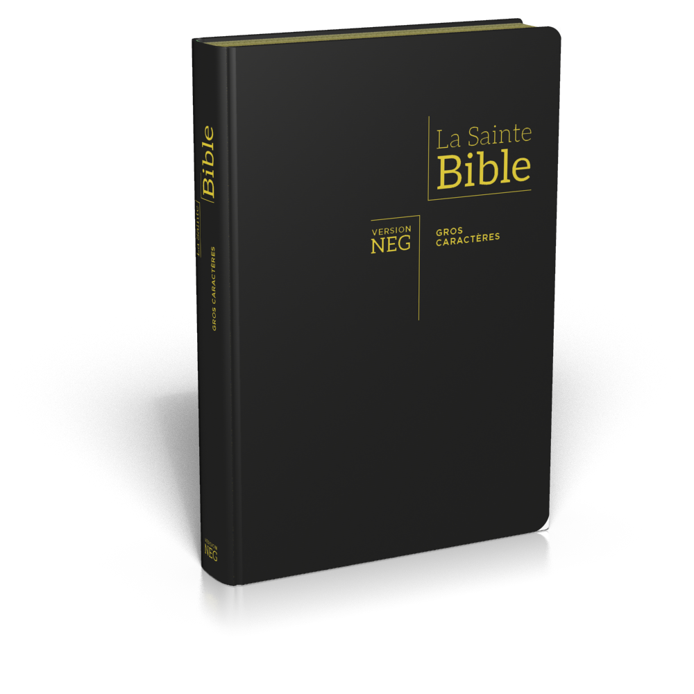 Bible NEG 11899, GC, couv. fibrocuir, tranche or, onglets