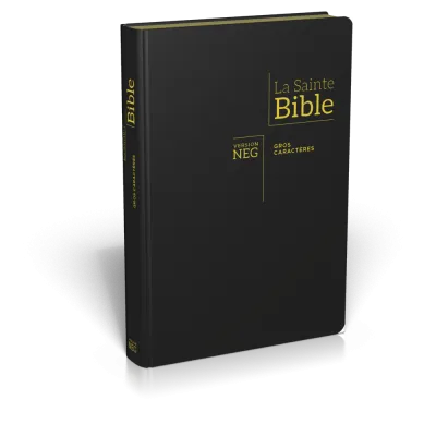 Bible NEG 11899, GC, couv. fibrocuir, tranche or, onglets