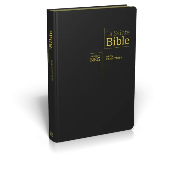 Bible NEG 11899, GC, couv. fibrocuir, tranche or, onglets