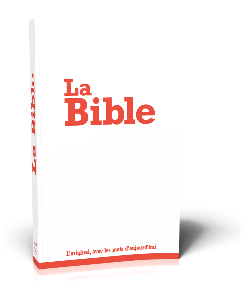 Bible d'évangélisation blanche SG12301