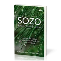 Sozo, Sauvé, guéri, délivré