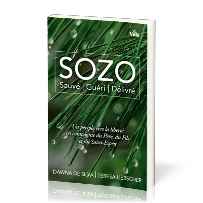 Sozo, Sauvé, guéri, délivré