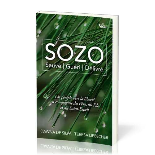 Sozo, Sauvé, guéri, délivré