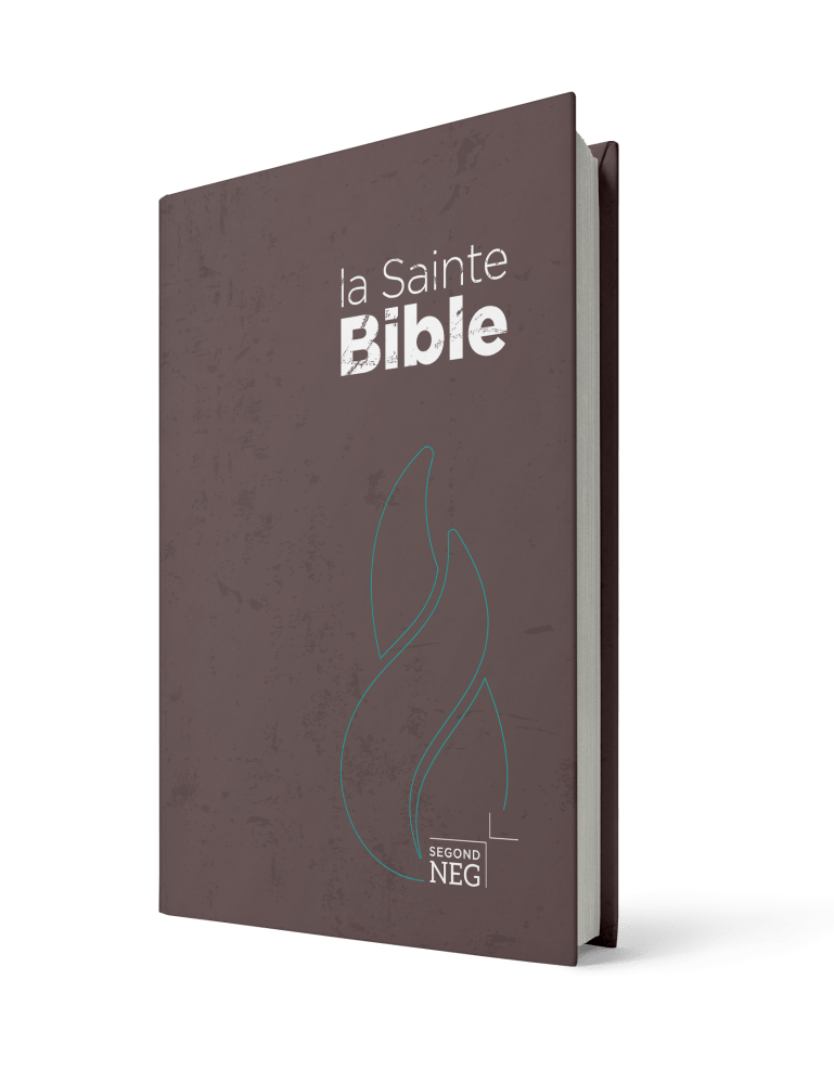 Bible Segond NEG, compacte brun, NEG11218