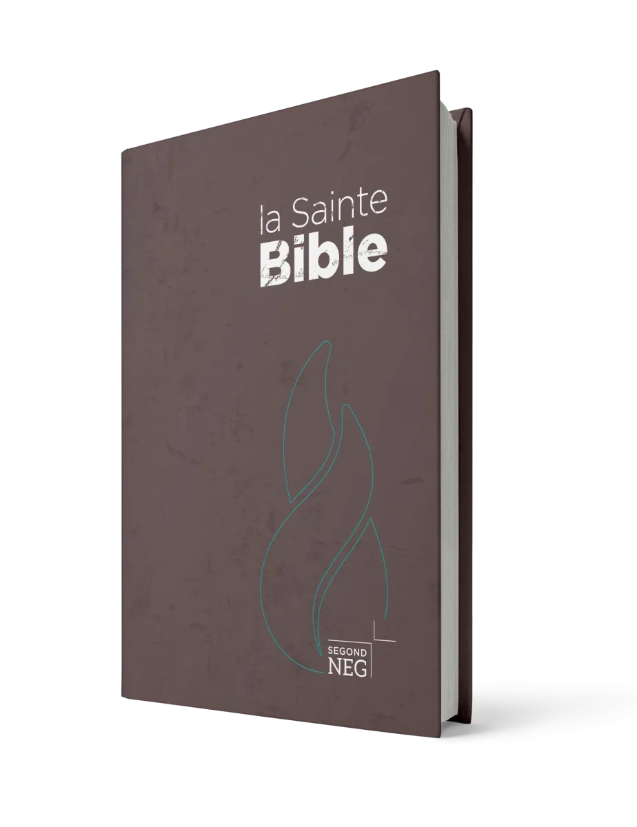 Bible Segond NEG, compacte brun, NEG11218