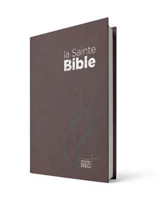 Bible Segond NEG, compacte brun, NEG11218