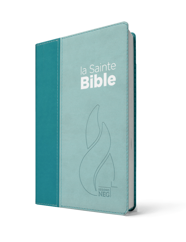 Bible Segond NEG, compacte souple bleu, NEG11247