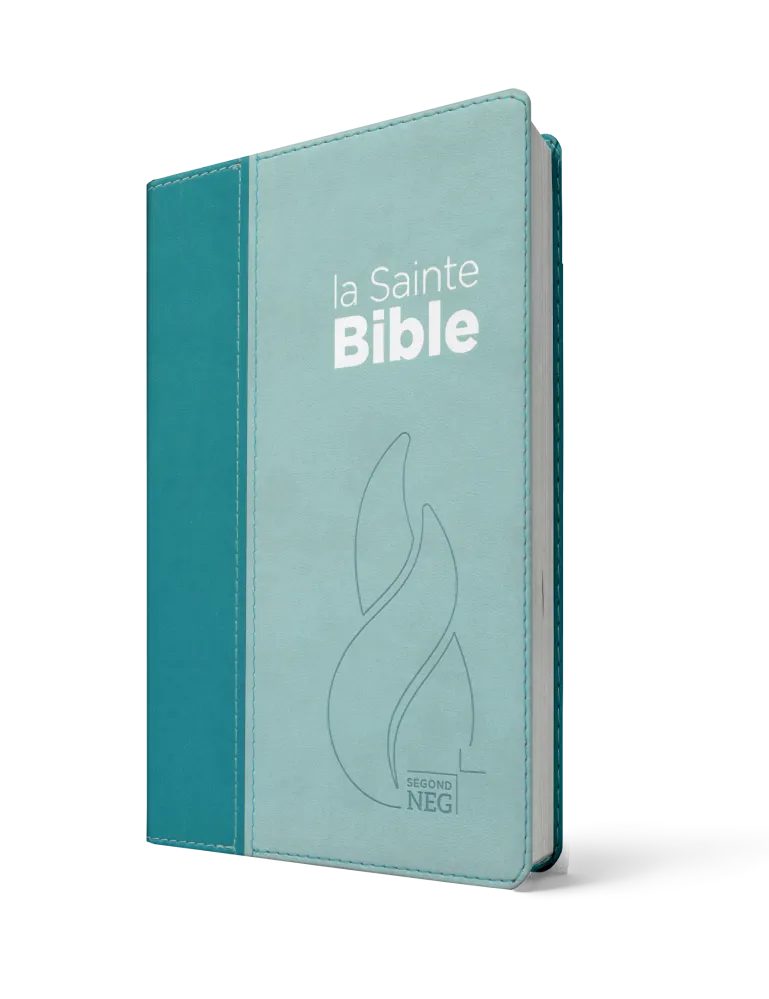 Bible Segond NEG, compacte souple bleu, NEG11247