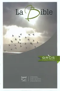 BIBLE S21 Évangélisation Gros caractères SG12512-AF