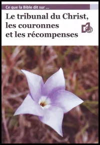 Tribunal de Christ, couronnes et récompenses