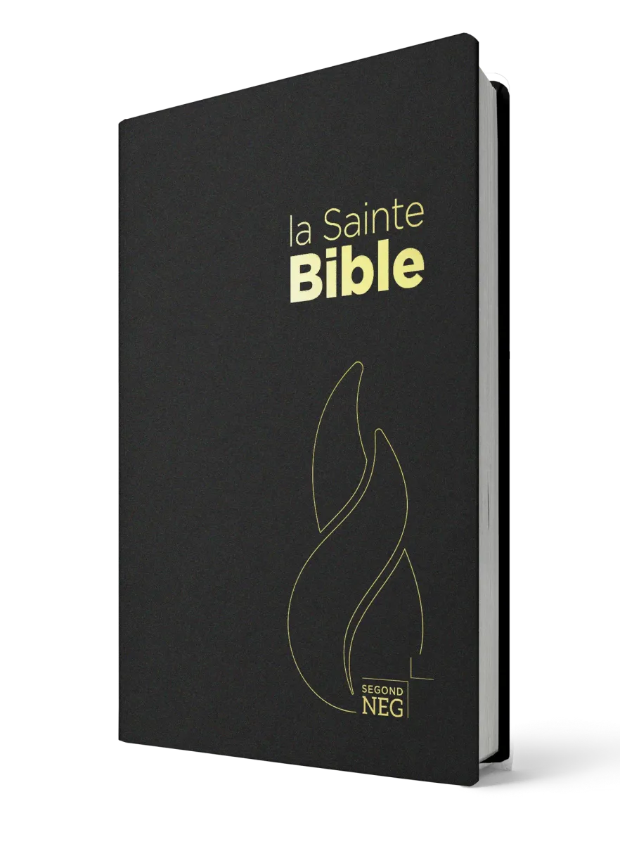 BIBLE NEG 11229 STD plastifié Louis Segond