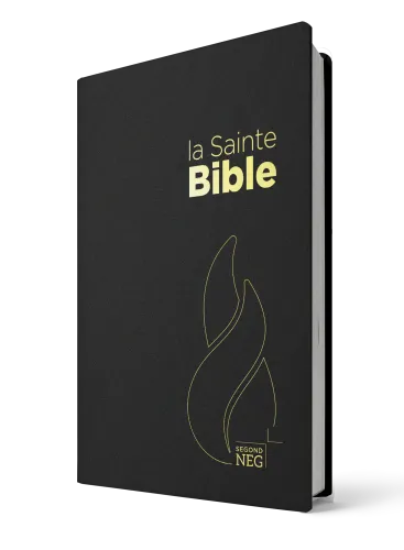 BIBLE NEG 11229 STD plastifié Louis Segond