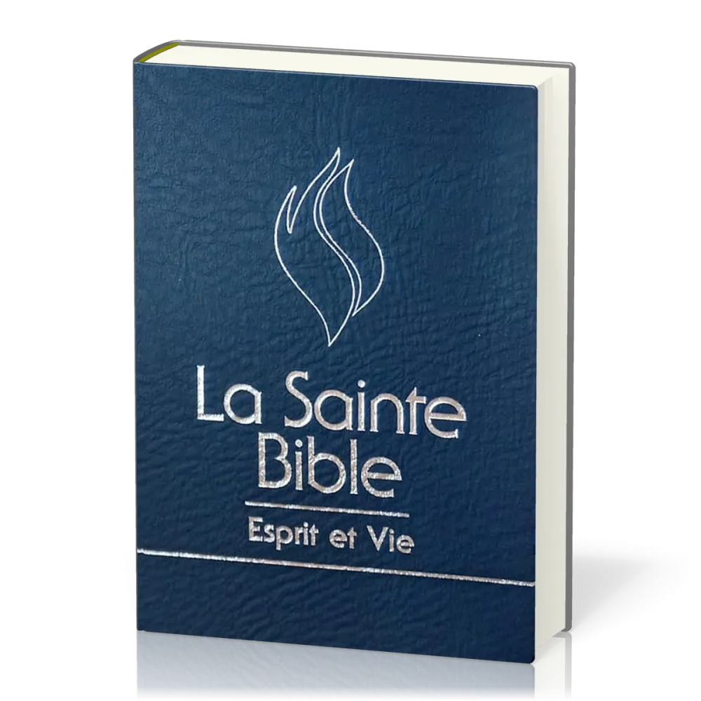 Bible Esprit et Vie (tr. argent, onglet)