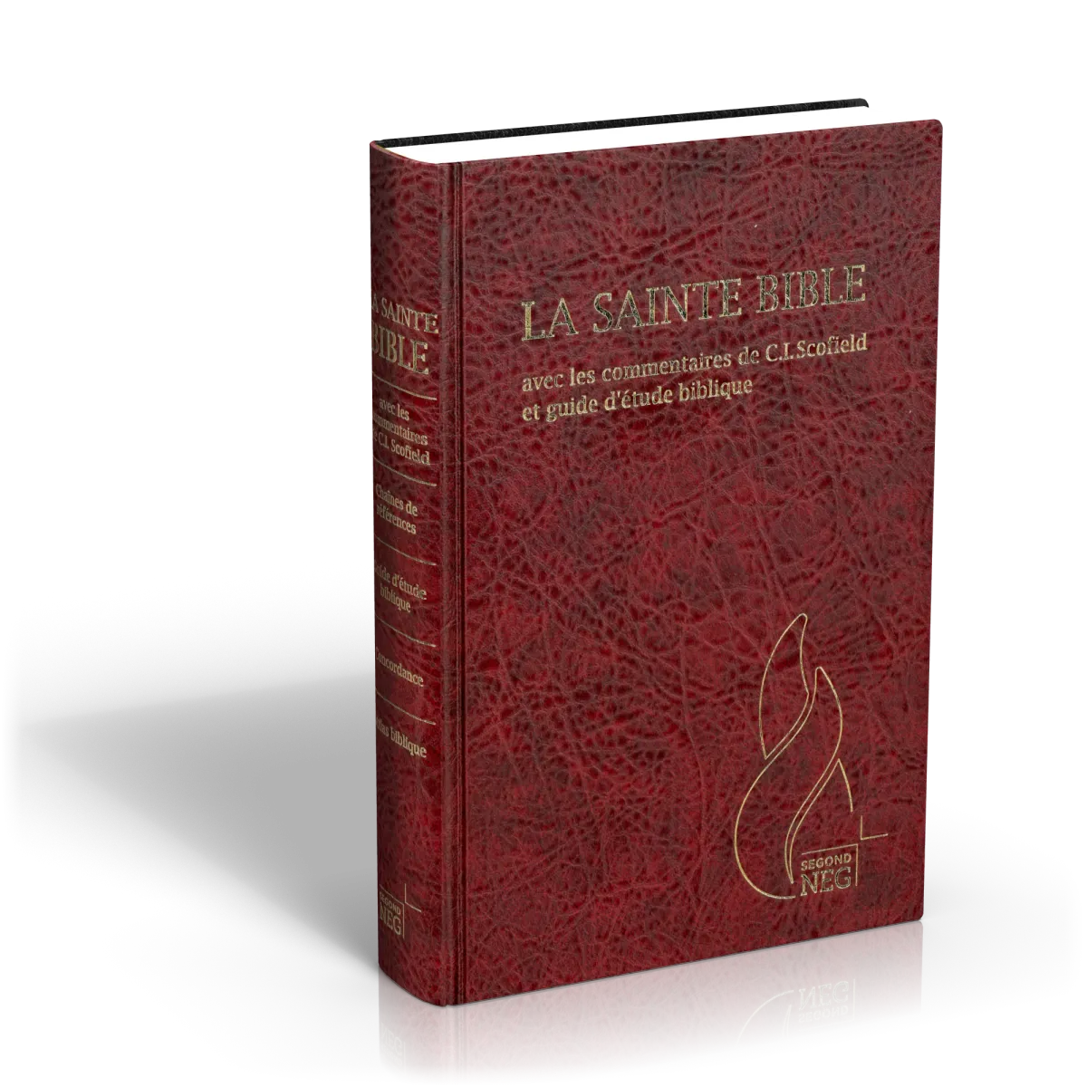 Bible d'étude NEG15333 Scofield Grenat